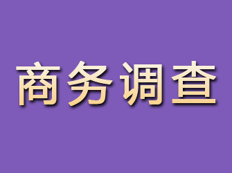 鄂托克前旗商务调查